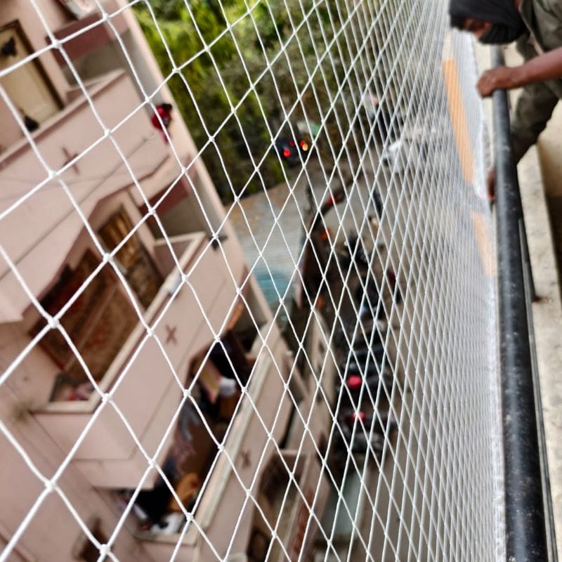 Pigeon Netting project
