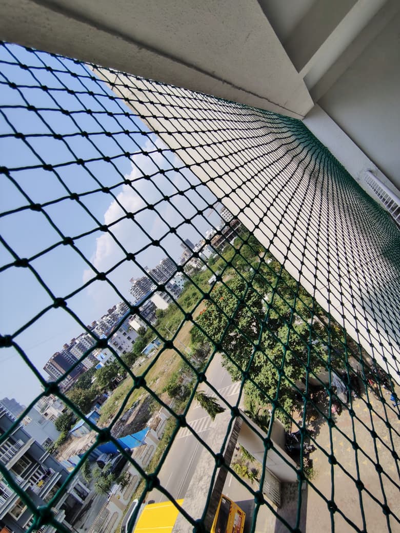 Bird Spikes project