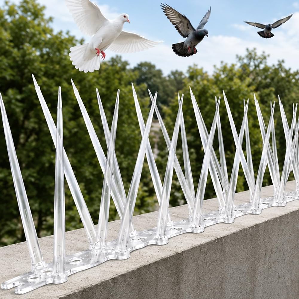Bird Spikes service