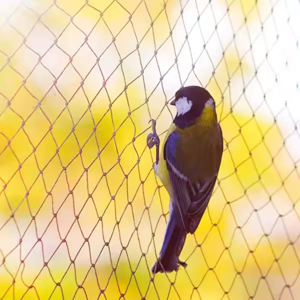 Bird netting installation on balcony